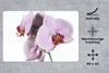 MuchoWow® Schreibtischunterlage Rosa Orchideenblüte 60x40 Produktbild-Vorschau 2