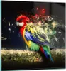 Bilder auf glas - Papagei Vogel Feder - 60x60cm - Produktbild-Vorschau 1