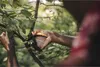 Fiskars P721 Plus™ PowerLever™ Cesoie a doppia lama FISKARS Anteprima dell’immagine prodotto 8