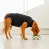 Suitical Recovery Suit® Dog schwarz, Größe: M Produktbild-Vorschau 5