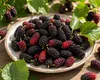 Zwerg-Maulbeere 'Mojo Berry' 50–70 cm – Morus rotundiloba, Produktbild-Vorschau 2
