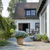 A potted plant with blue flowers sits on a paved patio in front of a house. Produktbild-Vorschau