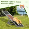 PawHut – houpačka pro psy, agility houpačka, dřevěná hračka Náhled obrázku produktu 6