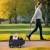 A woman is walking a dog in a stroller in a park. Produktbild-Vorschau