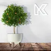 KADAX květináč 24 cm obal + zásuvné nohy stojan na květiny Náhled obrázku produktu 13