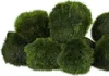 Eco Plant Marimo Ball Moss - gałęzatka 4 - 5cm Eco Plant Podgląd zdjęcia produktu 2