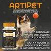 ARTIPET | Integratore Articolazioni Cane e Gatto, 120 Anteprima dell’immagine prodotto 4