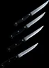 20x Steakmesser 22,5cm, Edelstahl, Grillmesser, Produktbild-Vorschau 4