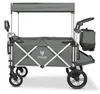 FUXLIFE carro de transporte FX-CTL950 | Carro para ocio y Vista previa de la imagen del producto 1