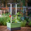 Gusta Garden Charly Chili, Topfpflanzer, Freistehend, Produktbild-Vorschau 16