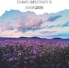 Phacelia Samen Bienenfreund (Phacelia tanacetifolia) als Produktbild-Vorschau 3
