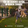Kind spielt mit Hund im Garten, verschlossen mit Gartentor, dahinter Mann mit zwei Hunden Produktbild-Vorschau