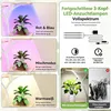 Support à fleurs avec lumière de croissance, 8 niveaux, Voir les images du produit 4