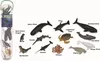 COLLECTA Animali acquatici 2, 12 pz Anteprima dell’immagine prodotto 3