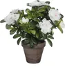 Mica Decorations Azalee Kunstpflanze im Blumentopf Stan - Produktbild-Vorschau 1