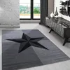A modern living room with a rug featuring a star pattern, a console table, and a large window. Voir les images du produit