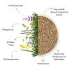 Kaninchenwiese Samen - Kleintierwiese Saatgut für die Produktbild-Vorschau 4