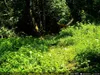 Outdoor Wildlife Hunting Trail und Wildkamera OXE Spider Produktbild-Vorschau 24