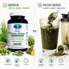 Green Power Greens Top8 Chlorophyll Supergreens 360 Pulver Produktbild-Vorschau 4