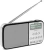 Technisat 0001/3918 TechniRadio RDR XL tragbares Radio Produktbild-Vorschau 4