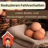Nesteier Aus Gips Künstliche Bruteier Legeeier Kunsteier Produktbild-Vorschau 7
