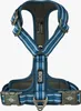 Dog Copenhagen V3 Comfort Walk Air Harness Ocean Blue M Produktbild-Vorschau 3