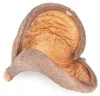 Badam Schote Natur 8–12 cm Sterculia foetida Herzfrucht Produktbild-Vorschau 1