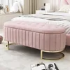 Flieks panca con spazio di archiviazione, sgabello da letto Anteprima dell’immagine prodotto 2
