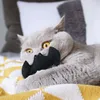 Catlabs Katzenspielzeug Fledermaus schwarz mit Produktbild-Vorschau 7