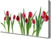 Tulup Leinwand-Bilder 100x50 Wandbild Canvas Kunstdruck Produktbild-Vorschau 1