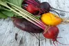 SAFLAX Kultivačný set - BIO - Cvikla - Chioggia - Beta Náhľad obrázku produktu 9