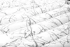 A close-up, angled view of a white mattress with a gray tree branch pattern. Produktbild-Vorschau