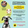 Adema Natural® Wormilen Forte – Wurmmittel für Hunde – Produktbild-Vorschau 4