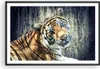 Gerahmtes Poster - Schwarzer Rahmen - Indien stein tiger Produktbild-Vorschau 1