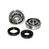 A set of bearings and seals for a motorcycle engine. Produktbild-Vorschau