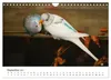 Wellensittiche - der NEUE Kalender (Wandkalender 2027 DIN Produktbild-Vorschau 12