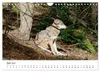 Unsere Wölfe - Ein Wildtier kehrt zurück (Wandkalender 2027 Produktbild-Vorschau 9
