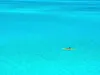 CALVENDO Puzzle Kanu in der Lagune von Bora Bora | 1000 Produktbild-Vorschau 3
