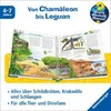 Wieso? Weshalb? Warum?, Band 64: Alles über Reptilien Produktbild-Vorschau 4