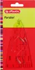 A product shot of a transparent plastic parabola ruler in its packaging. Produktbild-Vorschau