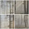 Bild auf Leinwand - Leinwandbild - Wald Baum Natur - Produktbild-Vorschau 8