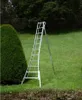 A silver aluminum ladder is set up on a grassy slope next to a large, cone-shaped green bush. Voir les images du produit