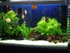 Sable pour aquarium, sable de quartz blanc 0,5 mm, 8 kg Voir les images du produit 7
