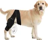 A tan Labrador retriever dog stands on a white background, wearing a black knee brace on its hind leg. A small circular graphic with curved lines indicating waves is shown near the brace. Produktbild-Vorschau