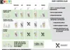 XAXX HC BODY CONTROL SHAKE SCHOKO 600g = 20 Mahlzeiten Produktbild-Vorschau 4