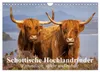 Schottische Hochlandrinder. Freundlich, schön und robust Produktbild-Vorschau 1
