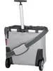 A grey shopping trolley with a telescopic handle and wheels, shown from the back. Produktbild-Vorschau