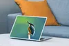 MuchoWow® Laptop Aufkleber Sticker Cover Eisvogel - Äste - Produktbild-Vorschau 4