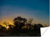 MuchoWow® Poster Silhouette von Bäumen bei Sonnenuntergang Produktbild-Vorschau 1