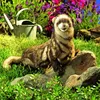 Folkmanis Ferret, Handpuppe, Tier, 1 Stück(e) Produktbild-Vorschau 4